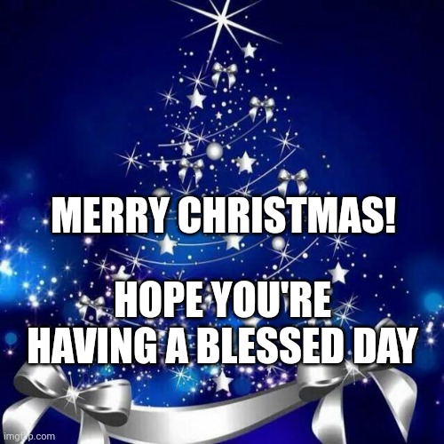 Hai | MERRY CHRISTMAS! HOPE YOU'RE HAVING A BLESSED DAY | image tagged in merry christmas | made w/ Imgflip meme maker