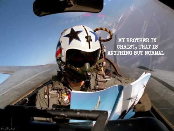pilot | MY BROTHER IN CHRIST, THAT IS ANYTHING BUT NORMAL | image tagged in pilot | made w/ Imgflip meme maker
