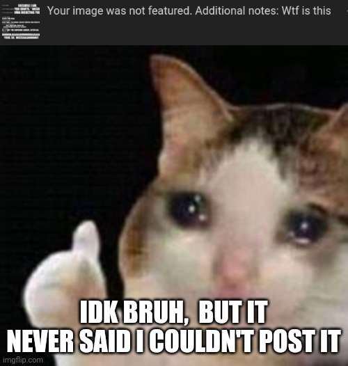 Idk why I am posting this,  I am kinda sad and idk where to post it- | IDK BRUH,  BUT IT NEVER SAID I COULDN'T POST IT | image tagged in approved crying cat,unfeatured | made w/ Imgflip meme maker