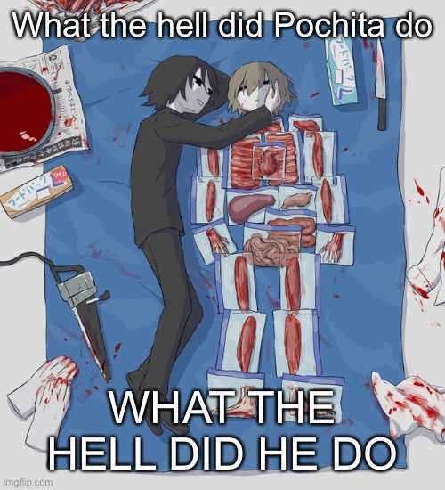 What the hell did Pochita do; WHAT THE HELL DID HE DO | made w/ Imgflip meme maker