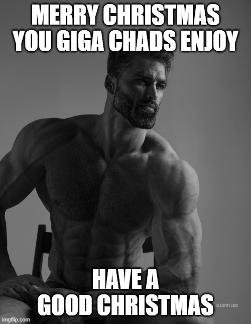 Have a good christmas | MERRY CHRISTMAS YOU GIGA CHADS ENJOY; HAVE A GOOD CHRISTMAS | image tagged in giga chad | made w/ Imgflip meme maker