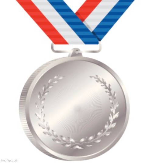 silver medal | image tagged in silver medal | made w/ Imgflip meme maker