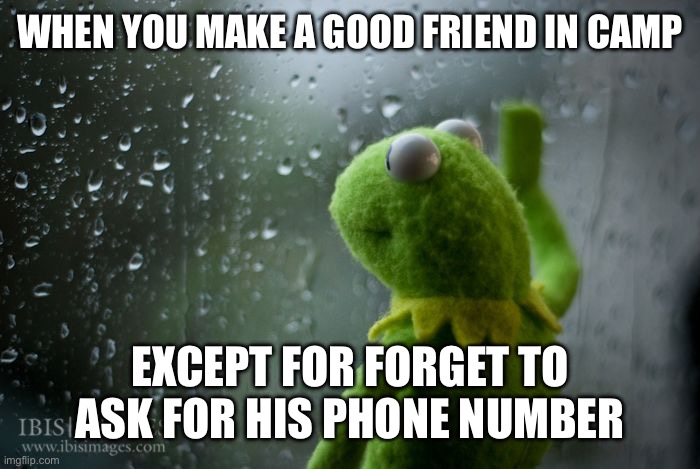 Has this ever happened to you? | WHEN YOU MAKE A GOOD FRIEND IN CAMP; EXCEPT FOR FORGET TO ASK FOR HIS PHONE NUMBER | image tagged in kermit window | made w/ Imgflip meme maker