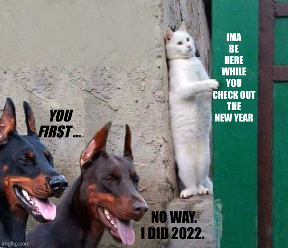 2023 | IMA BE HERE WHILE YOU CHECK OUT THE NEW YEAR; YOU FIRST …; NO WAY. I DID 2022. | image tagged in sneaky cat | made w/ Imgflip meme maker