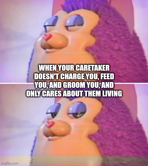 It sucks to be a toy | WHEN YOUR CARETAKER DOESN'T CHARGE YOU, FEED YOU, AND GROOM YOU, AND ONLY CARES ABOUT THEM LIVING | image tagged in bruh for real | made w/ Imgflip meme maker