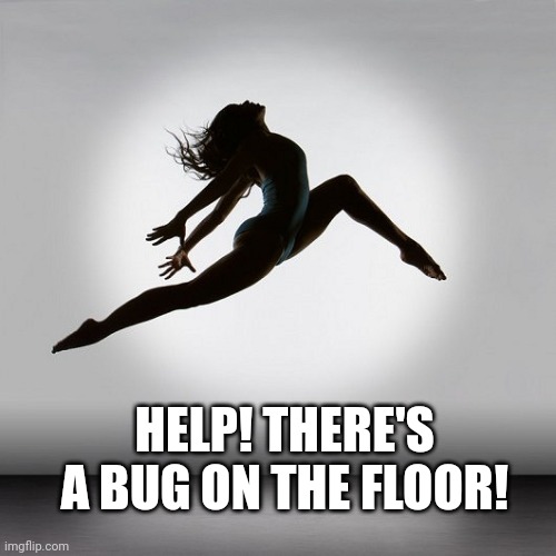 Pretty dancer | HELP! THERE'S A BUG ON THE FLOOR! | image tagged in pretty dancer | made w/ Imgflip meme maker