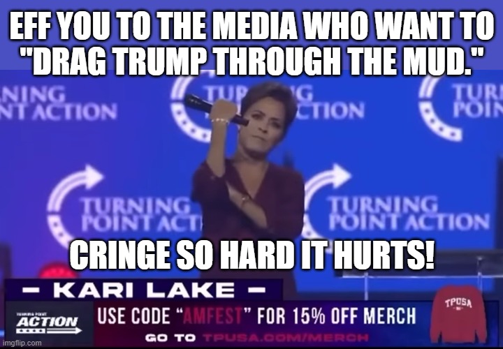 grifting idiots | EFF YOU TO THE MEDIA WHO WANT TO
"DRAG TRUMP THROUGH THE MUD."; CRINGE SO HARD IT HURTS! | image tagged in politics,stream,streaming,pile of,shit,say goodbye | made w/ Imgflip meme maker