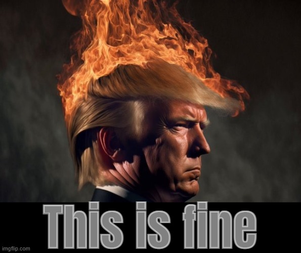 yup, sure is.... | This is fine | image tagged in this is fine dog,this is fine this is not fine,trump,on fire,i love it when a plan comes together,bye bye | made w/ Imgflip meme maker
