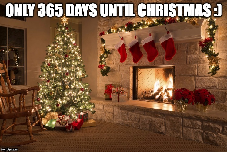Merry Christmas | ONLY 365 DAYS UNTIL CHRISTMAS :) | image tagged in merry christmas | made w/ Imgflip meme maker