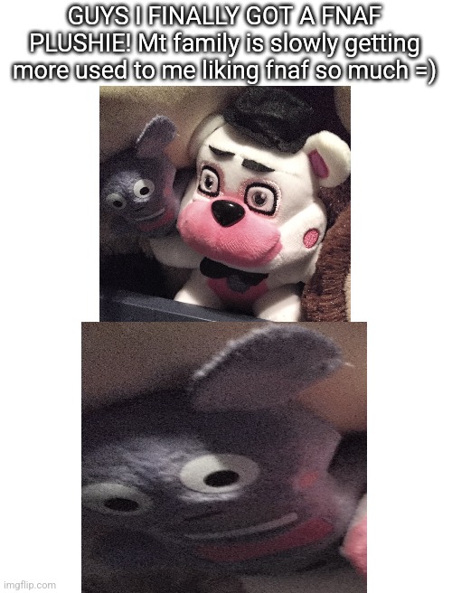 =D | GUYS I FINALLY GOT A FNAF PLUSHIE! Mt family is slowly getting more used to me liking fnaf so much =) | image tagged in fnaf,christmas | made w/ Imgflip meme maker
