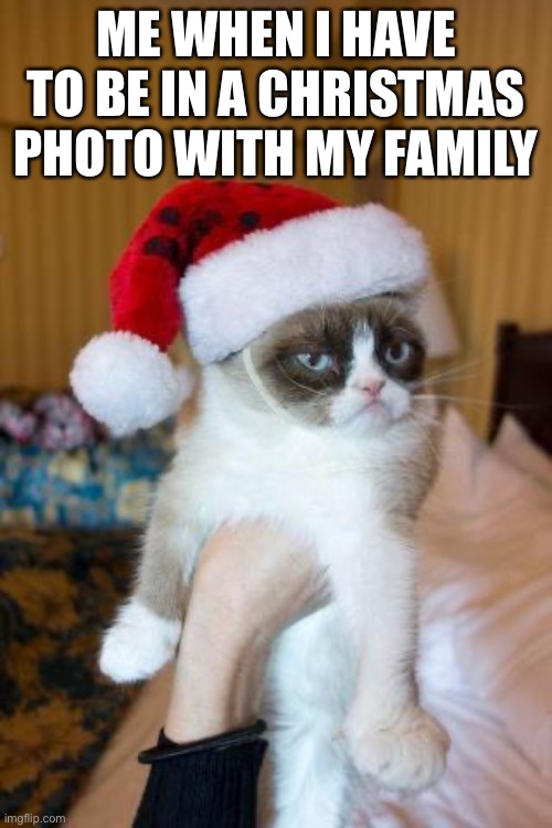 Long live grumpy cat! | ME WHEN I HAVE TO BE IN A CHRISTMAS PHOTO WITH MY FAMILY | image tagged in memes,grumpy cat christmas,grumpy cat | made w/ Imgflip meme maker
