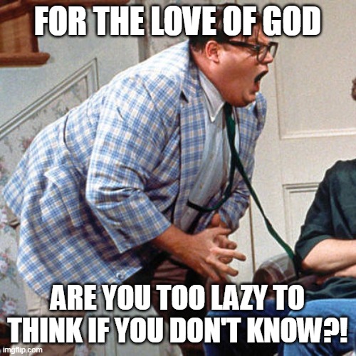 Chris Farley For the love of god | FOR THE LOVE OF GOD; ARE YOU TOO LAZY TO THINK IF YOU DON'T KNOW?! | image tagged in chris farley for the love of god,meme,memes,humor,funny | made w/ Imgflip meme maker