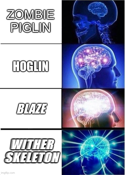 Expanding Brain | ZOMBIE PIGLIN; HOGLIN; BLAZE; WITHER SKELETON | image tagged in memes,expanding brain | made w/ Imgflip meme maker