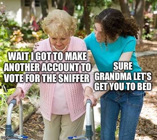 Oh geez | WAIT I GOT TO MAKE ANOTHER ACCOUNT TO VOTE FOR THE SNIFFER; SURE GRANDMA LET’S GET YOU TO BED | image tagged in sure grandma let's get you to bed,minecraft | made w/ Imgflip meme maker