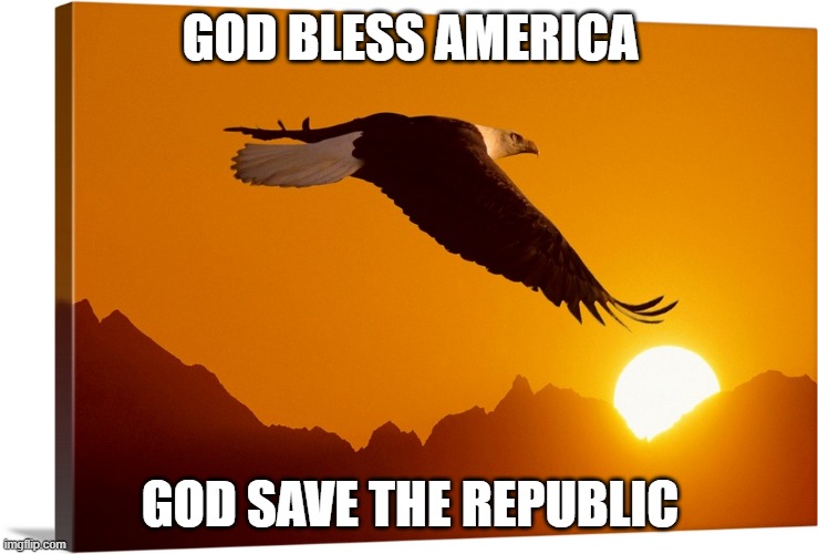 God Bless America, God Save The Republic | GOD BLESS AMERICA; GOD SAVE THE REPUBLIC | image tagged in bald eagle | made w/ Imgflip meme maker