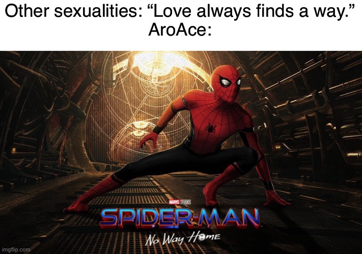 THIS WAS THE BEST MEME IDEA IVE EVER HADDDDD | Other sexualities: “Love always finds a way.”
AroAce: | image tagged in lol | made w/ Imgflip meme maker