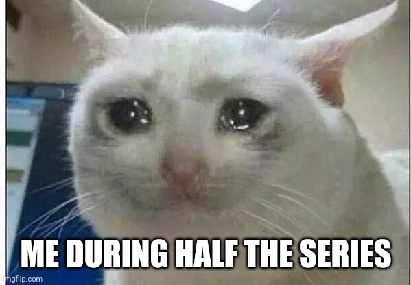 D: | ME DURING HALF THE SERIES | image tagged in crying cat | made w/ Imgflip meme maker