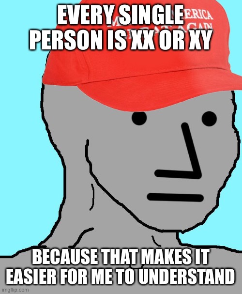 MAGA NPC | EVERY SINGLE PERSON IS XX OR XY; BECAUSE THAT MAKES IT EASIER FOR ME TO UNDERSTAND | image tagged in maga npc | made w/ Imgflip meme maker