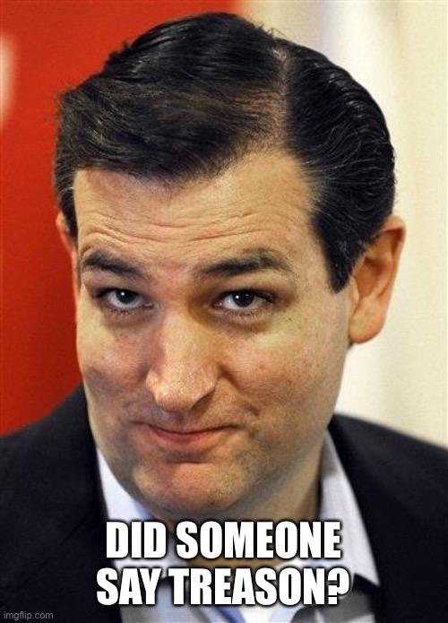 Bashful Ted Cruz | DID SOMEONE SAY TREASON? | image tagged in bashful ted cruz | made w/ Imgflip meme maker