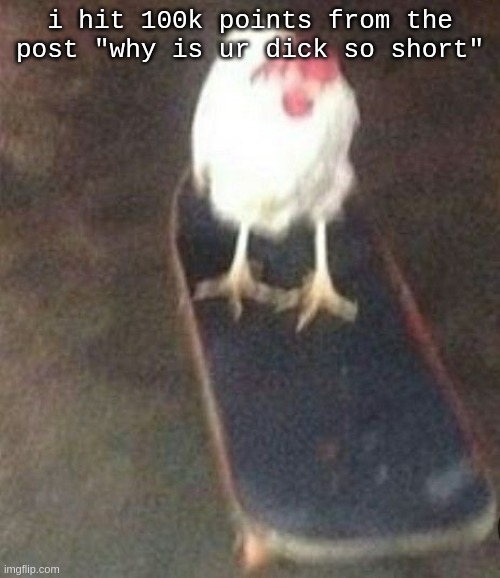 massive W | i hit 100k points from the post "why is ur dick so short" | image tagged in dog on skateboard | made w/ Imgflip meme maker