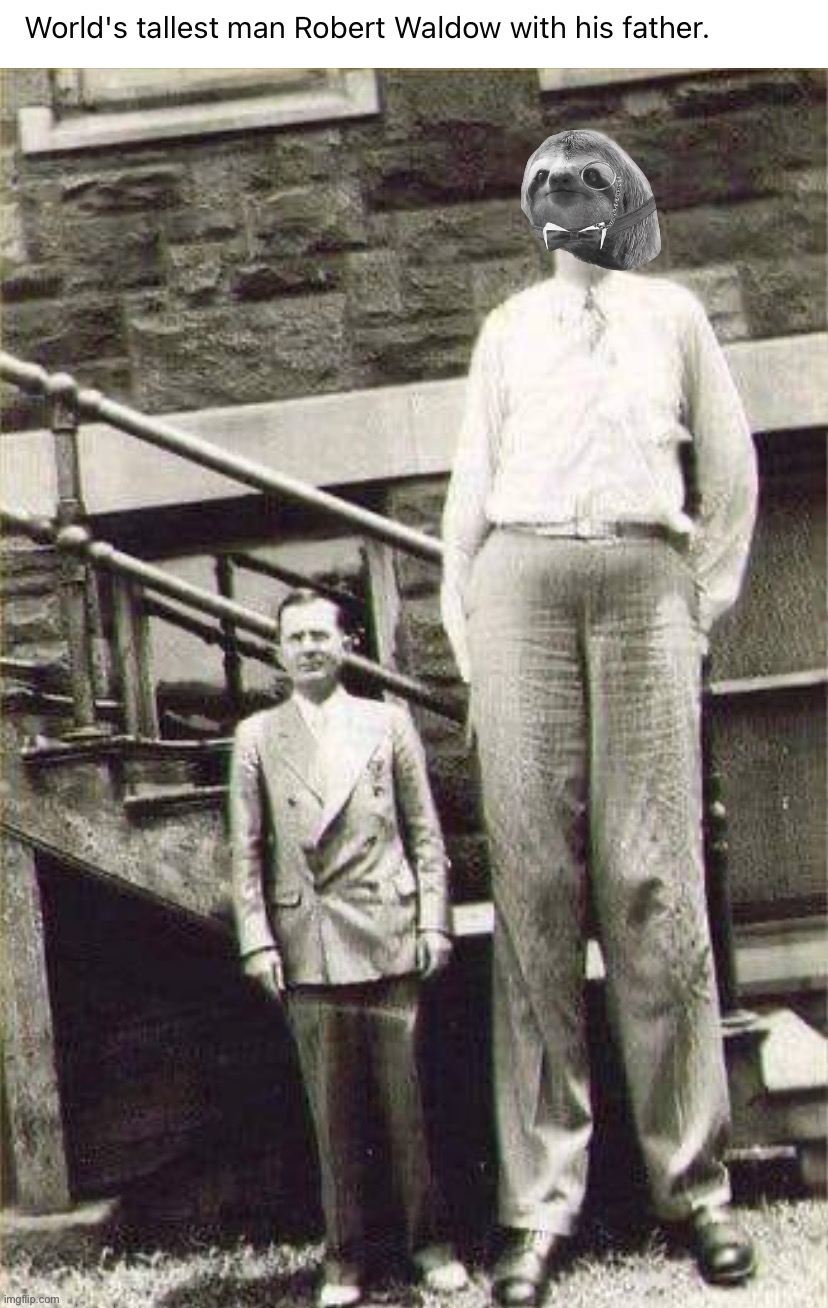 Sloth as the worlds tallest man | image tagged in sloth as the worlds tallest man | made w/ Imgflip meme maker