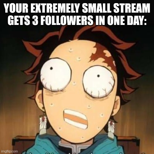 Demon Slayer Tanjiro shocked | YOUR EXTREMELY SMALL STREAM GETS 3 FOLLOWERS IN ONE DAY: | image tagged in demon slayer tanjiro shocked | made w/ Imgflip meme maker