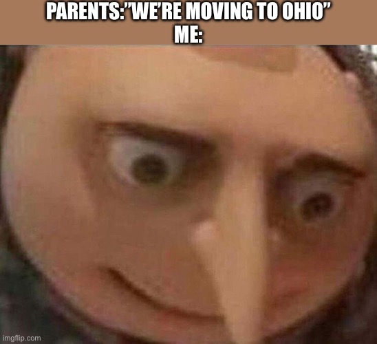 Down in Ohio swag like Ohio | PARENTS:”WE’RE MOVING TO OHIO”
ME: | image tagged in gru meme | made w/ Imgflip meme maker