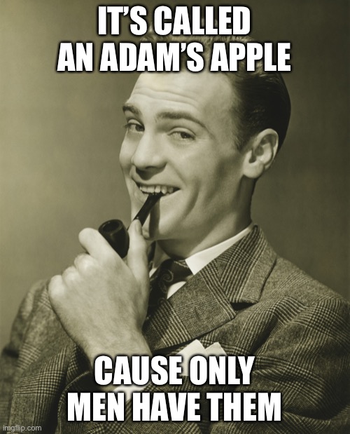 Smug | IT’S CALLED AN ADAM’S APPLE CAUSE ONLY MEN HAVE THEM | image tagged in smug | made w/ Imgflip meme maker