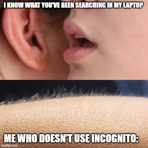 i didnt know about incognito until months ago | I KNOW WHAT YOU'VE BEEN SEARCHING IN MY LAPTOP; ME WHO DOESN'T USE INCOGNITO: | image tagged in whisper and goosebumps | made w/ Imgflip meme maker
