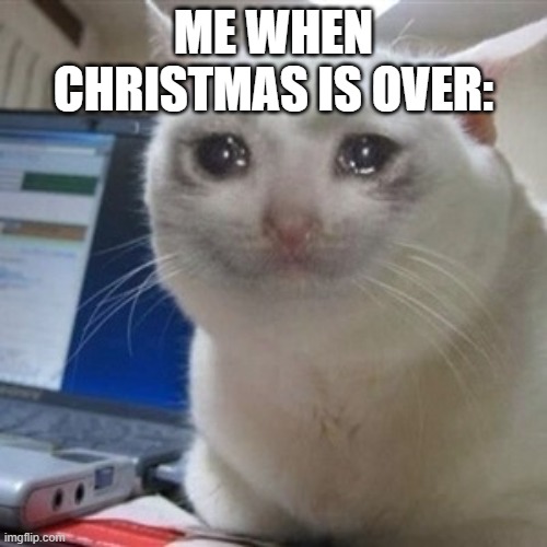 Crying cat | ME WHEN CHRISTMAS IS OVER: | image tagged in crying cat,christmas | made w/ Imgflip meme maker