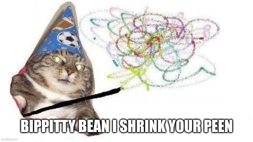 Wizard Cat | BIPPITTY BEAN I SHRINK YOUR PEEN | image tagged in wizard cat | made w/ Imgflip meme maker