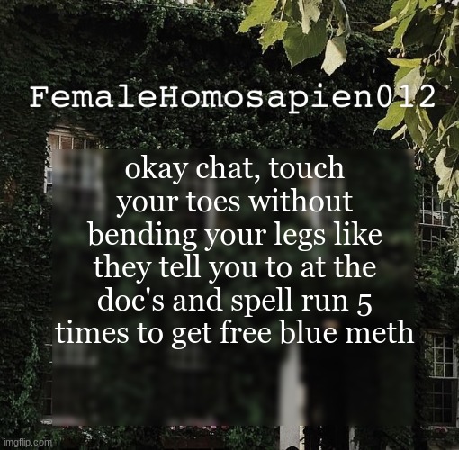 FemaleHomosapien012 | okay chat, touch your toes without bending your legs like they tell you to at the doc's and spell run 5 times to get free blue meth | image tagged in femalehomosapien012 | made w/ Imgflip meme maker
