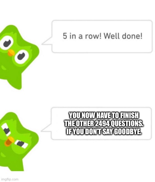 Duolingo 5 in a row | YOU NOW HAVE TO FINISH THE OTHER 2494 QUESTIONS. IF YOU DON’T SAY GOODBYE. | image tagged in duolingo 5 in a row | made w/ Imgflip meme maker