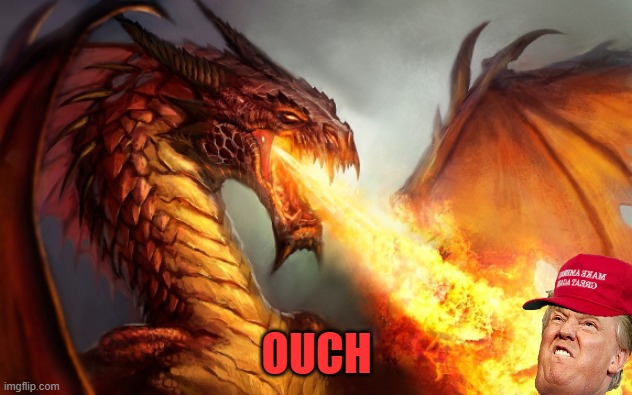 Fire breathing dragon  | OUCH | image tagged in fire breathing dragon | made w/ Imgflip meme maker