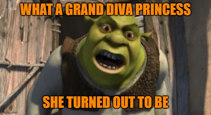 Shrek What are you doing in my swamp? | WHAT A GRAND DIVA PRINCESS SHE TURNED OUT TO BE | image tagged in shrek what are you doing in my swamp | made w/ Imgflip meme maker