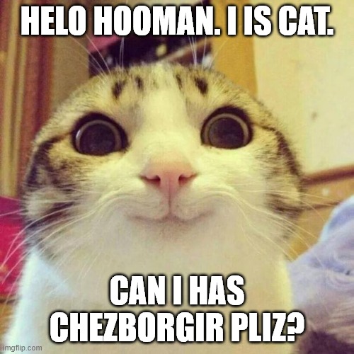 I is Cat | HELO HOOMAN. I IS CAT. CAN I HAS CHEZBORGIR PLIZ? | image tagged in memes,smiling cat,cute cat,happy,i can has cheezburger cat,cat | made w/ Imgflip meme maker