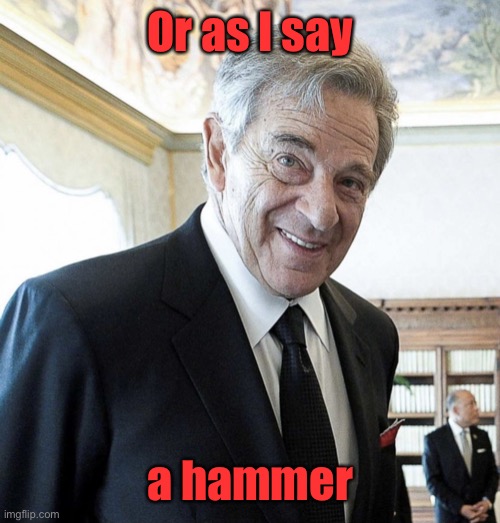 Hi I’m Paul Pelosi | Or as I say a hammer | image tagged in hi i m paul pelosi | made w/ Imgflip meme maker