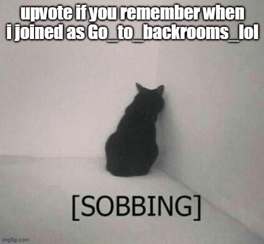 Sobbing cat | upvote if you remember when i joined as Go_to_backrooms_lol | image tagged in sobbing cat | made w/ Imgflip meme maker
