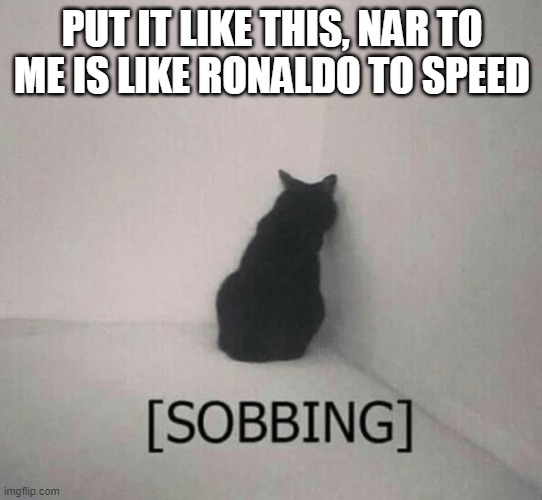 Sobbing cat | PUT IT LIKE THIS, NAR TO ME IS LIKE RONALDO TO SPEED | image tagged in sobbing cat | made w/ Imgflip meme maker