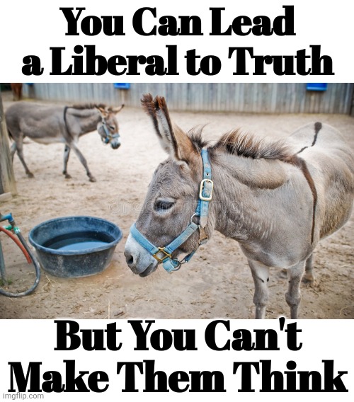 You Can Lead a Liberal to Truth But You Can't Make Them Think | You Can Lead a Liberal to Truth; But You Can't Make Them Think | image tagged in triggered liberal,liberal logic,stupid liberals,liberal hypocrisy,screaming liberal,crying liberals | made w/ Imgflip meme maker