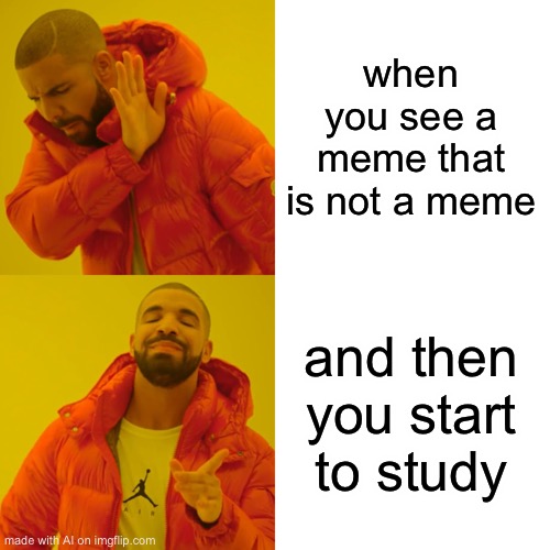 Drake Hotline Bling | when you see a meme that is not a meme; and then you start to study | image tagged in memes,drake hotline bling,funny,ai | made w/ Imgflip meme maker