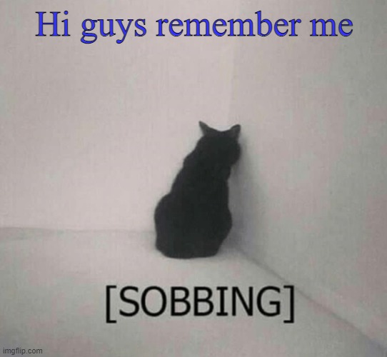 Sobbing cat | Hi guys remember me | image tagged in sobbing cat | made w/ Imgflip meme maker