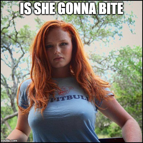 is she gonna bite | IS SHE GONNA BITE | image tagged in redheads,boobs,sexy women | made w/ Imgflip meme maker