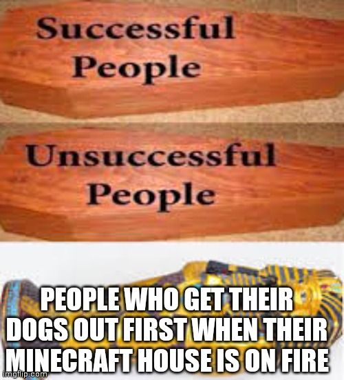 This is me | PEOPLE WHO GET THEIR DOGS OUT FIRST WHEN THEIR MINECRAFT HOUSE IS ON FIRE | image tagged in unsuccessful people successful people,minecraft,fire,wolf,dog | made w/ Imgflip meme maker