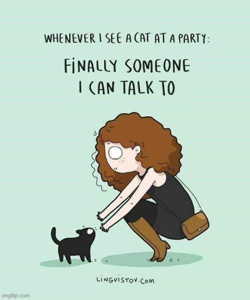 A Cat Lady's Way Of Thinking | image tagged in memes,comics,cat lady,party time,cats,talk | made w/ Imgflip meme maker