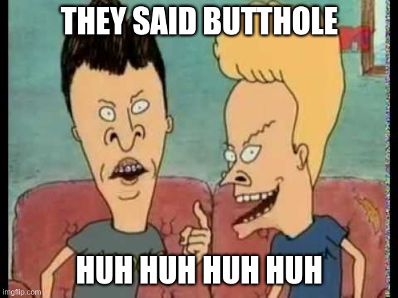 Whenever somebody says "butthole" | THEY SAID BUTTHOLE; HUH HUH HUH HUH | image tagged in beavis butt-head he said | made w/ Imgflip meme maker