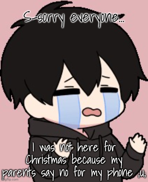 Shadow:cry | S-sorry everyone... I was not here for Christmas because my parents say no for my phone ;u; | image tagged in shadow cry | made w/ Imgflip meme maker