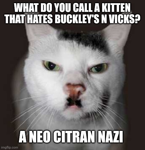 Nazi Cat | WHAT DO YOU CALL A KITTEN THAT HATES BUCKLEY'S N VICKS? A NEO CITRAN NAZI | image tagged in nazi cat | made w/ Imgflip meme maker