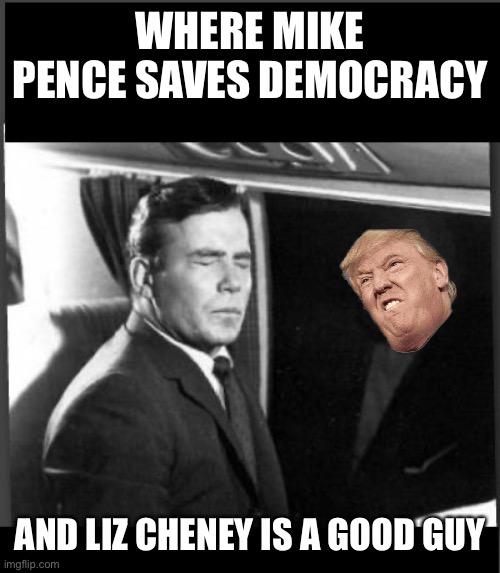 Shatner Twilight Zone something on the wing  | WHERE MIKE PENCE SAVES DEMOCRACY AND LIZ CHENEY IS A GOOD GUY | image tagged in shatner twilight zone something on the wing | made w/ Imgflip meme maker