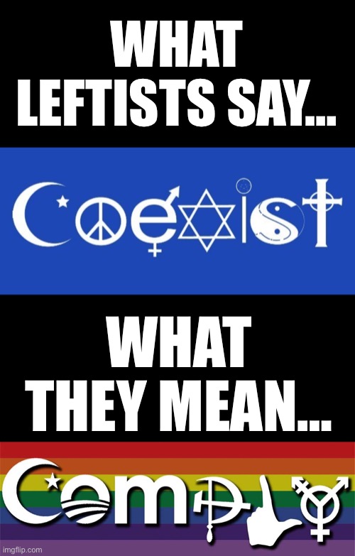 They never say what they mean… | WHAT LEFTISTS SAY…; WHAT THEY MEAN… | made w/ Imgflip meme maker